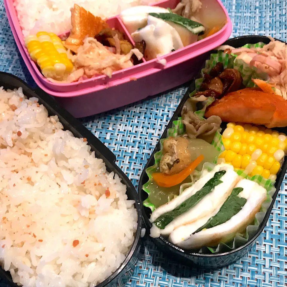 今日のお弁当🍱
切り干し大根のたらこ和え
冬瓜の煮物
はんぺんしそチーズサンド

今日も、
お天気はぐずつきそう
傘を持って
今日も気をつけて
いってらっしゃい👋😊|mokoさん