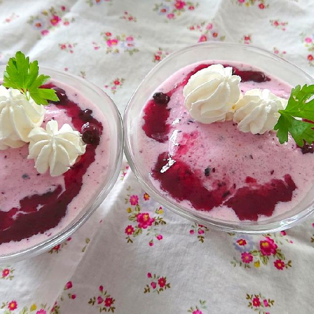 ブルーベリーフローズンヨーグルト Cocco Snapdish スナップディッシュ Id Dxqmva