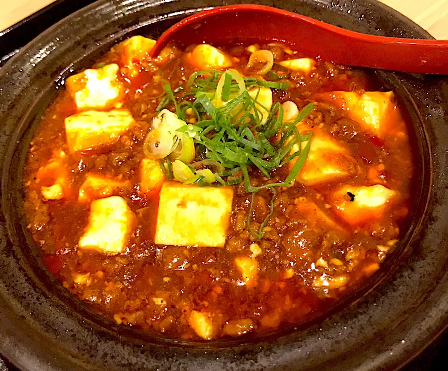 今日のお昼は麻婆豆腐定食どす。最近、唐辛子や山椒の辛さより塩辛いのを先に感じるのは私が貧乏舌だからかしら？🤔|にゃあ（芸名）さん