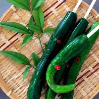 丸ごと1本キュウリの漬物 🥒