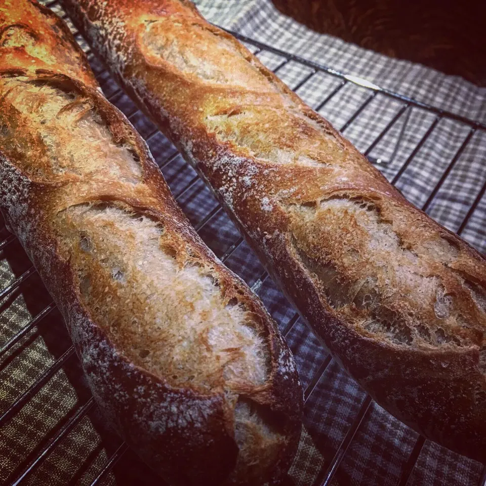 イチゴ酵母＋レーズン酵母ストレート
バゲット🥖|カンカンさん