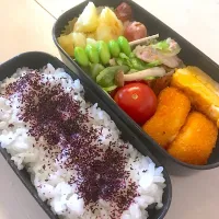 Snapdishの料理写真:中学生男子弁当|山口さん