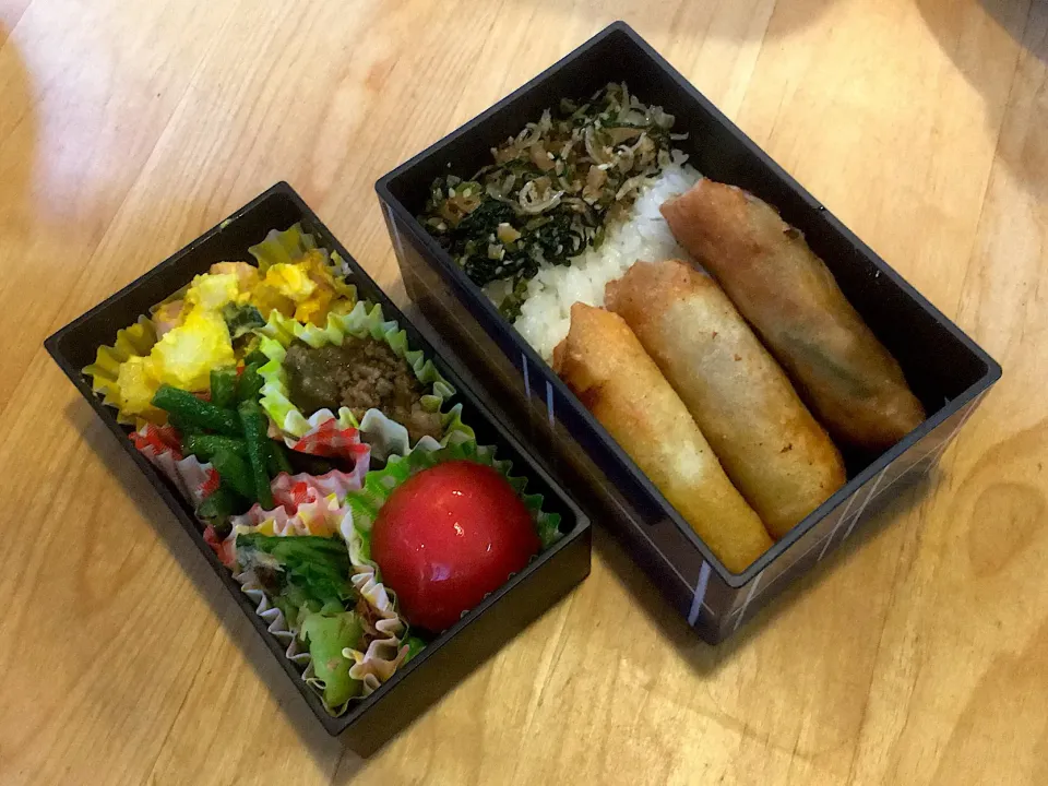 Snapdishの料理写真:春巻3兄弟弁当|ゆずぽんさん