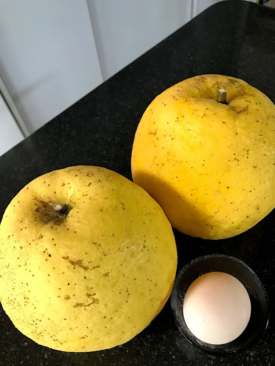 こちらも頂き物
熊本の晩柑オレンジ🍊と言うらしいですよ🧡|シュトママさん