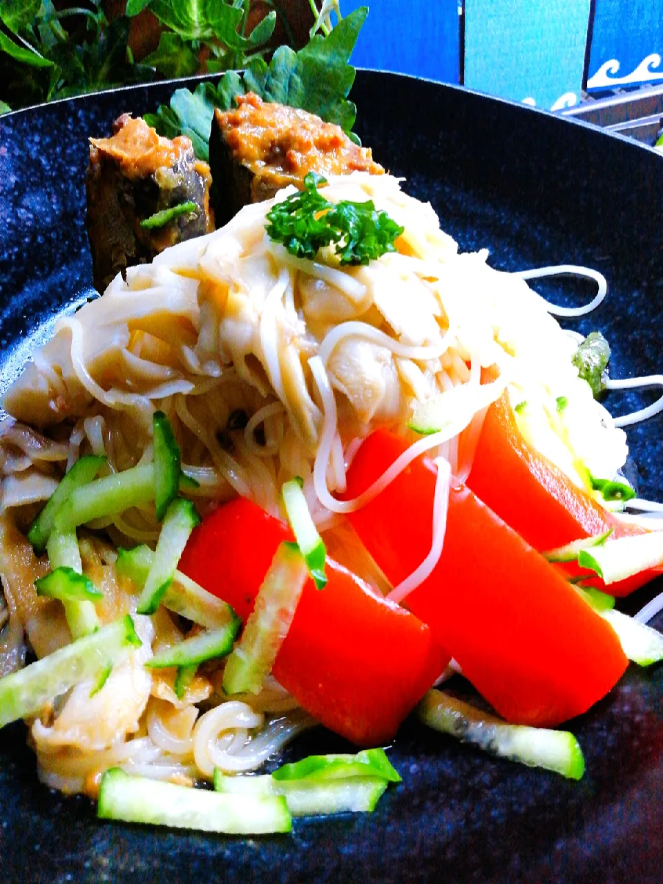 味噌サバそうめん、はじめました(´⊙ω⊙`)！|ペンギンさん