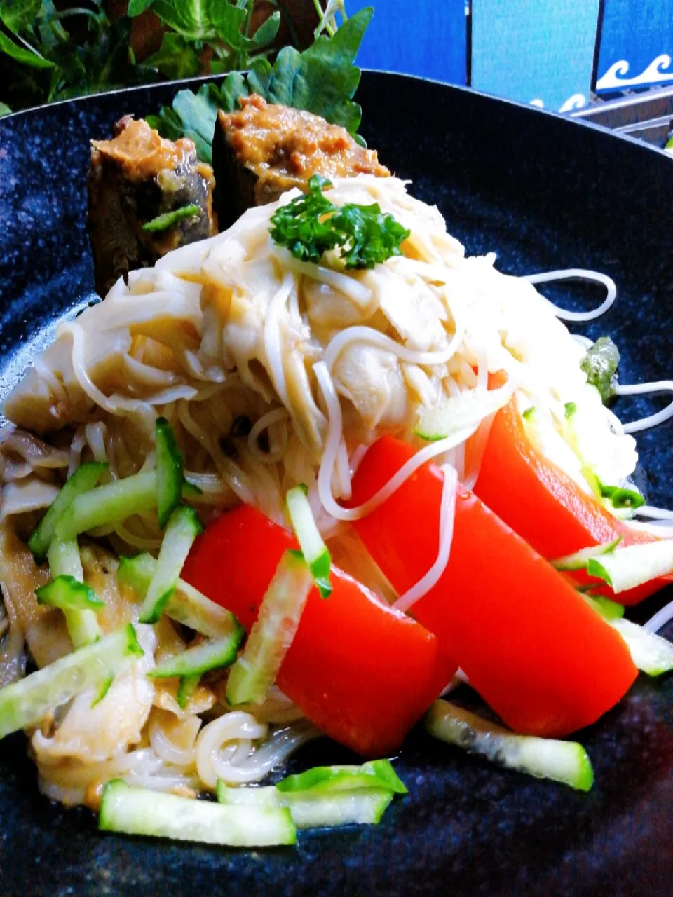 味噌サバそうめん、はじめました\(ϋ)/♩|ペンギンさん