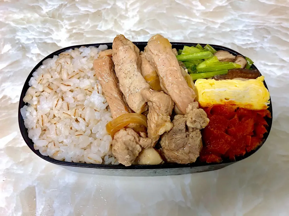 今日のお弁当7/19|としぼーさん