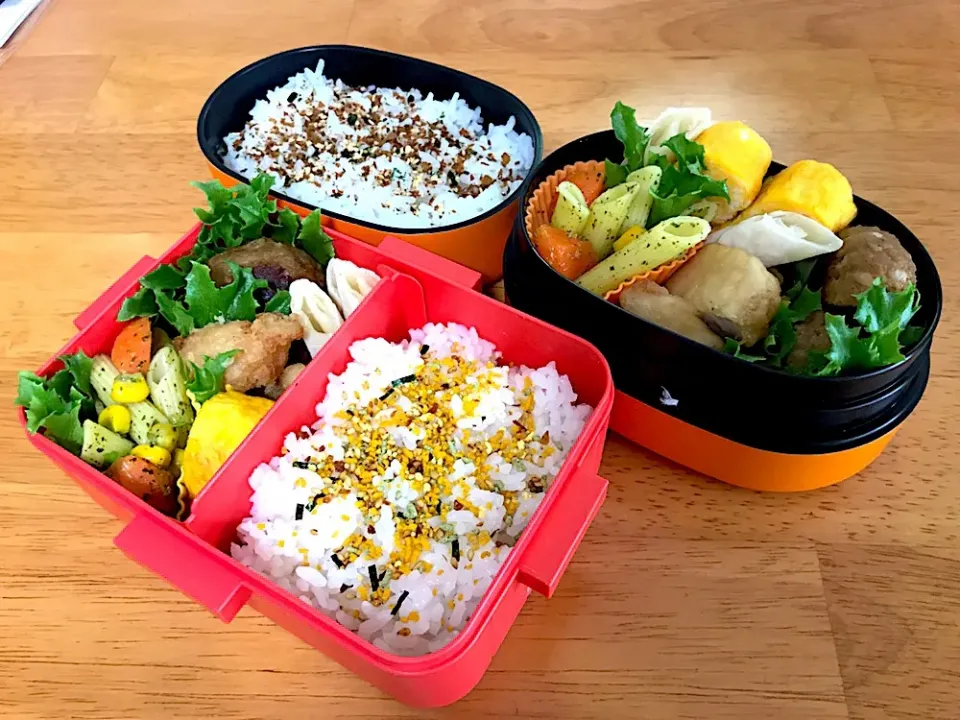 ある日のお弁当|ふぅさん