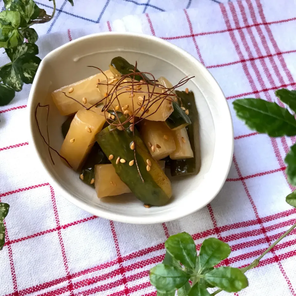 🥒パリポリ止まらない 大根ときゅうりの 甘酢醤油漬け🥒|Hollyさん