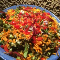 Snapdishの料理写真:Salade quinoa et légumes d’été|Benjamin Gömböc Garrettさん