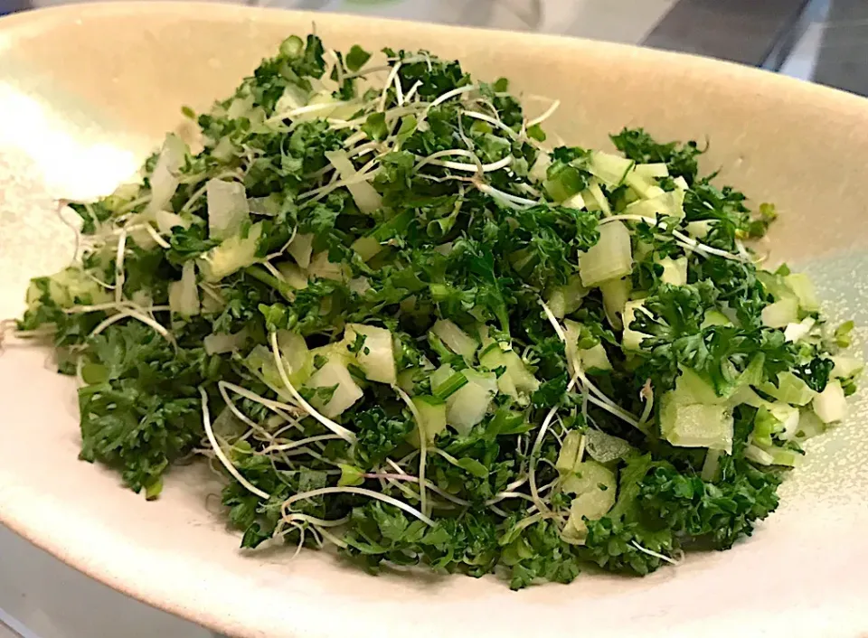 今宵の減塩サラダ🥗みじん切りにしたパセリとセロリときゅうり、冷蔵庫の中で朽ち果てそうだったプロッコリースプラウトを救出して混ぜただけ…そして、ケチか？ってくらいに塩を使わずパセリの苦味だけで食べるという拷問のようなサラダでございますわ。|にゃあ（芸名）さん