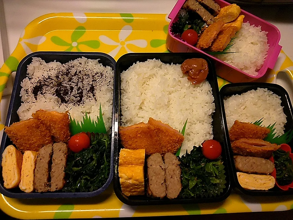 家族全員の弁当|みどりさん