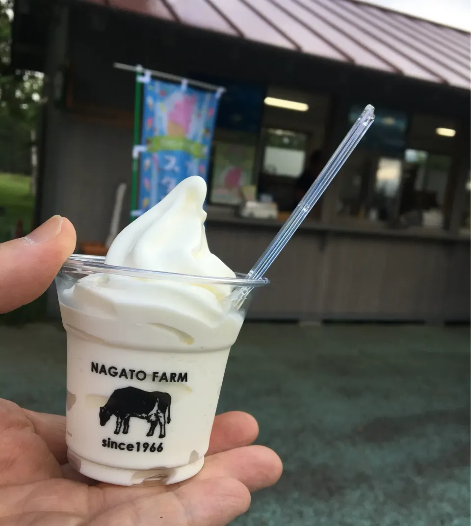 おやつだよ～(　ﾟдﾟ)ﾝﾏｯ! 断酒103日目                                   濃厚なソフトクリーム🍦|ぽんたさん