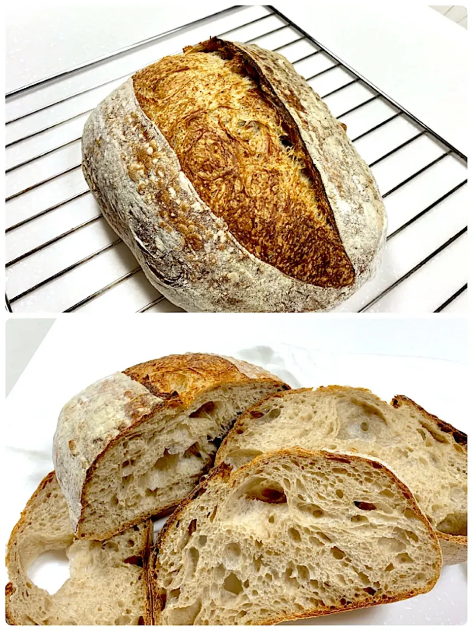 Open Crumb Sourdough Bread|gonbenさん