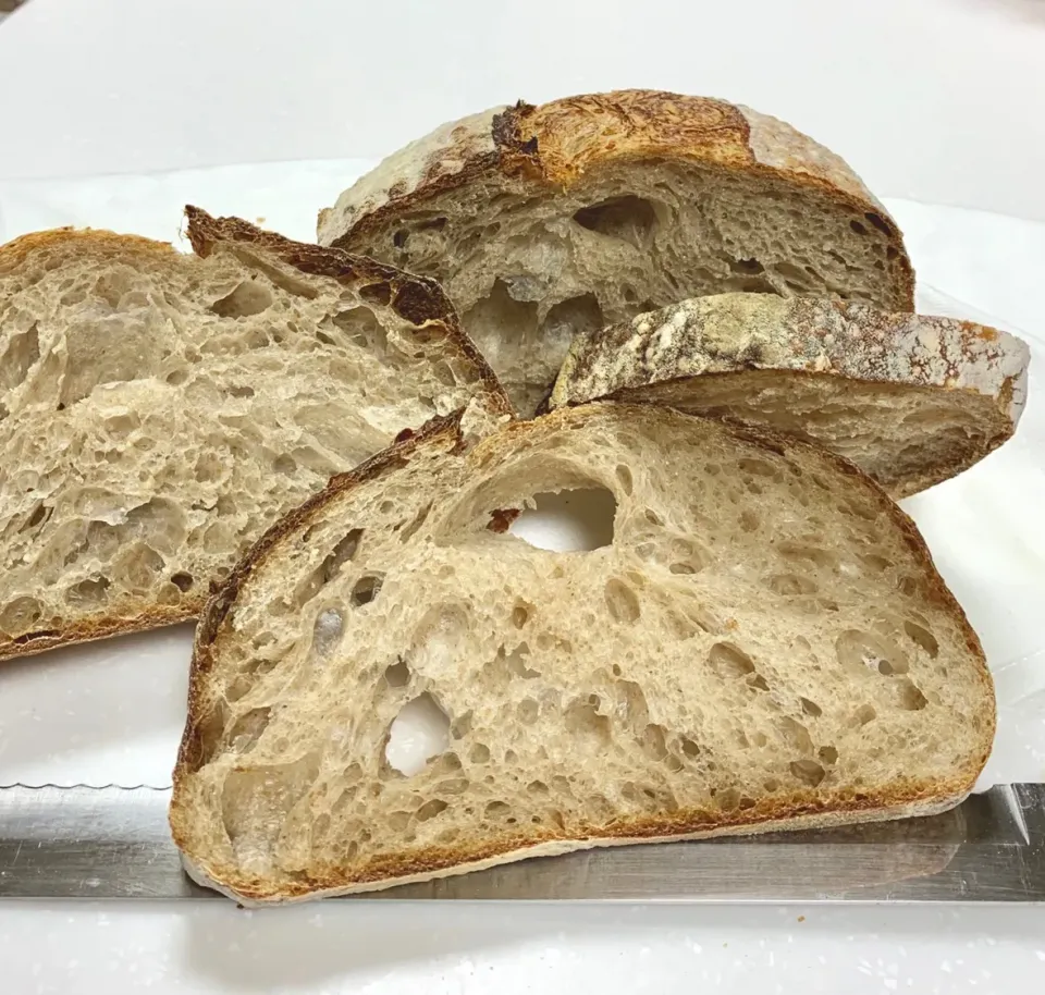 Open Crumb Sourdough Bread|gonbenさん