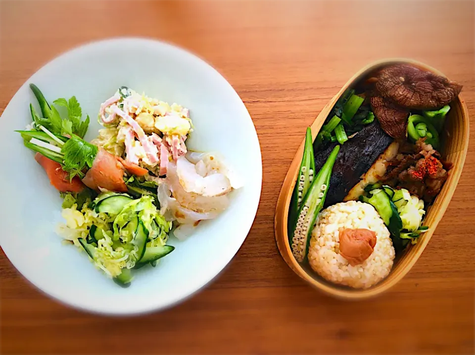 ヘルシー朝ごはんとお弁当|ゆいさん