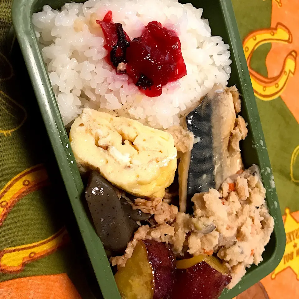 お弁当|seycoさん