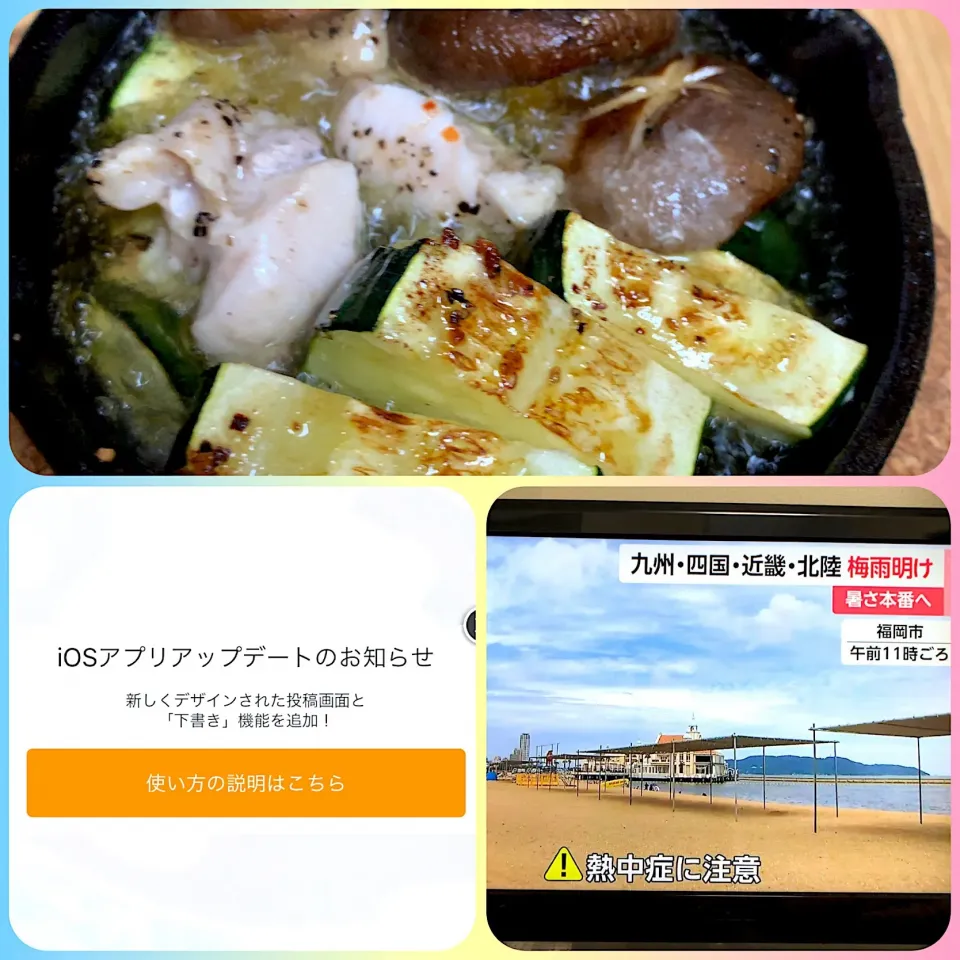 7/23(火)あひあひアヒージョ🥒|ビーグルさん