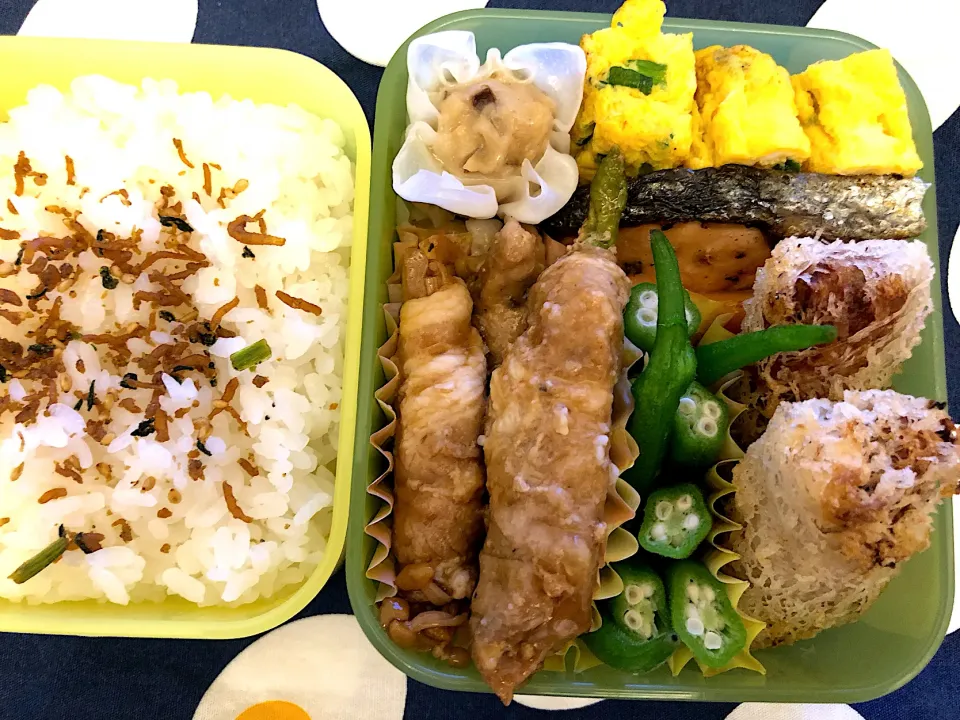 鮭弁当のつもりだったいろいろ弁当|freeさん