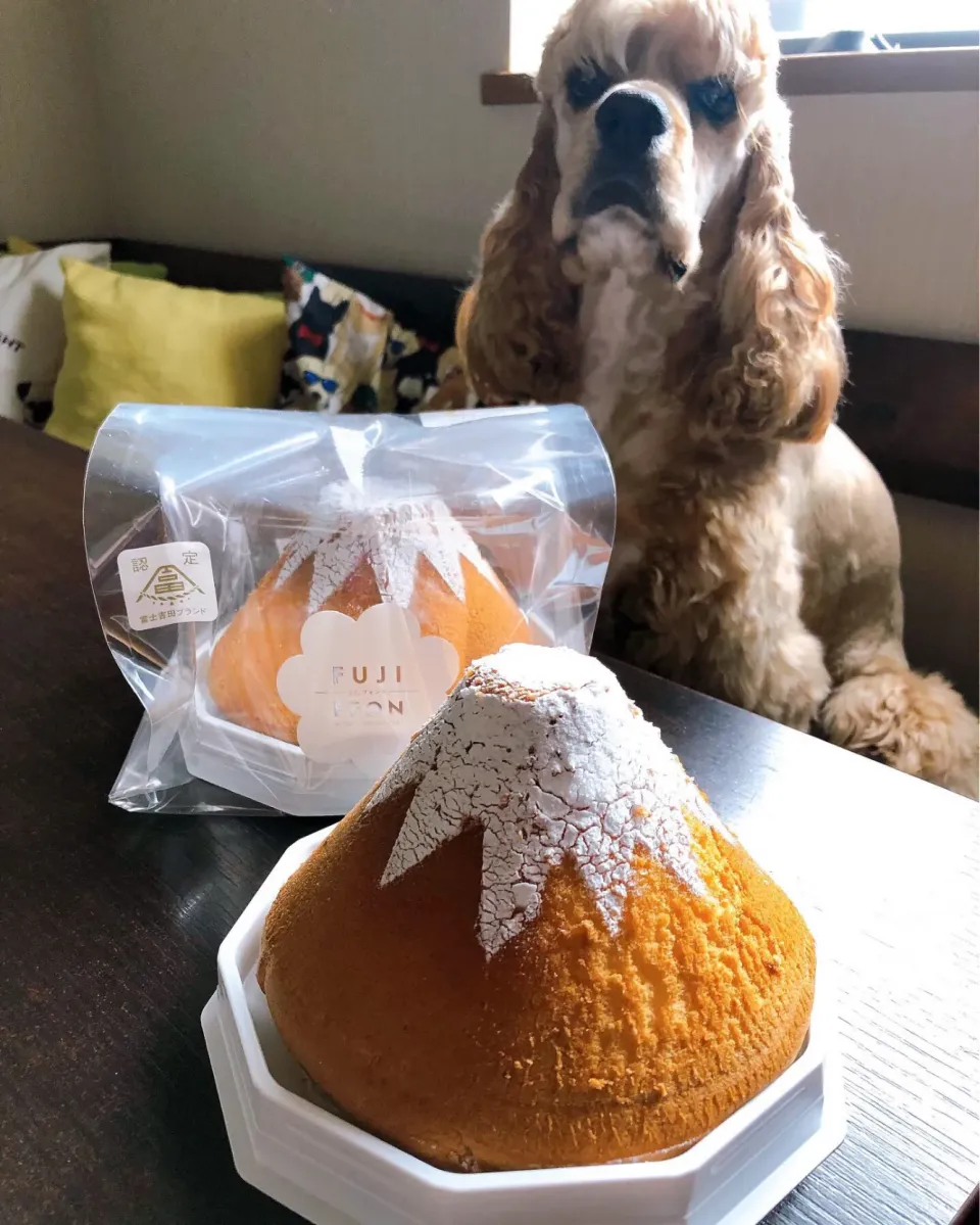 Snapdishの料理写真:シフォンケーキ|Kashimanakitchenさん