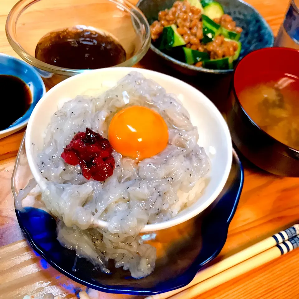 生しらす丼|なっさまーさん