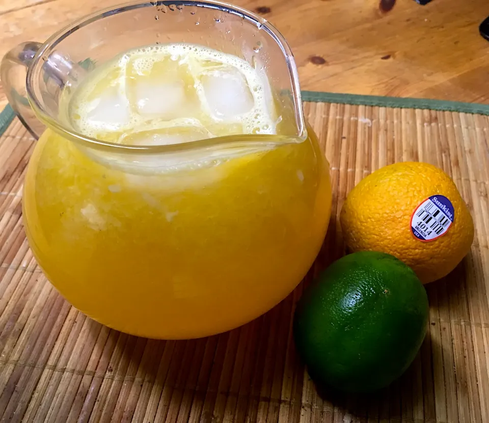 Freshly Squeezed Orange and Tangy Citrus Juice|Michaels Culinary Adventuresさん