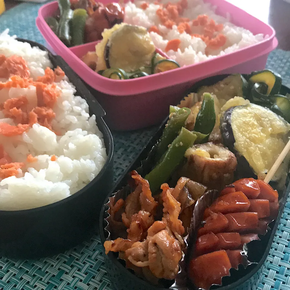 Snapdishの料理写真:今日のお弁当🍱|mokoさん