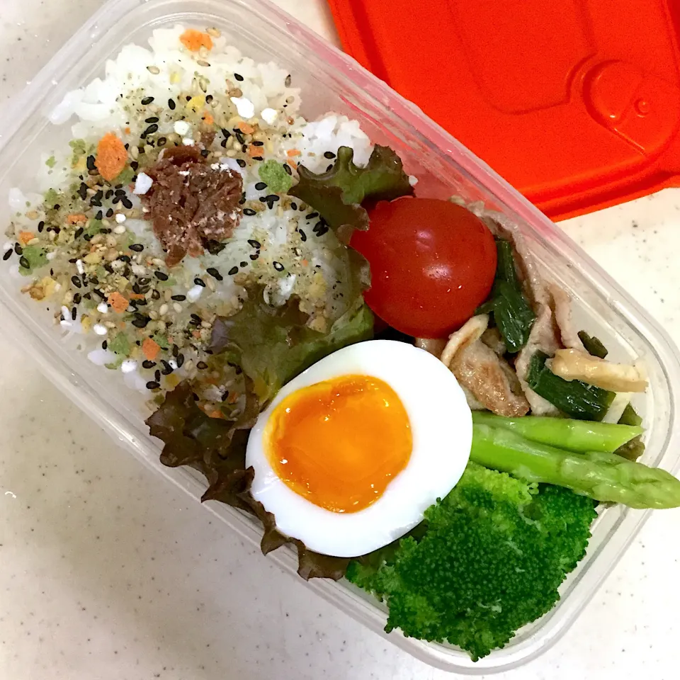 Today's lunch box|hoppycowさん