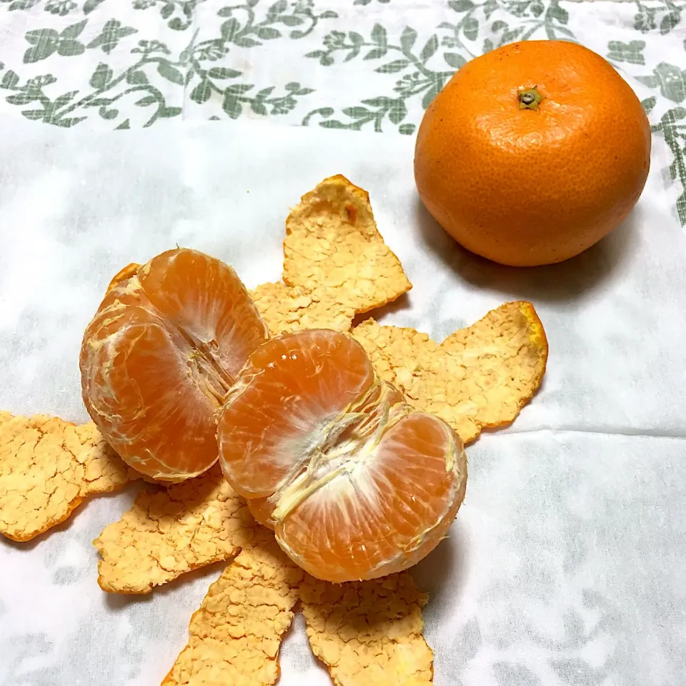 たまみ🍊|こいちさん