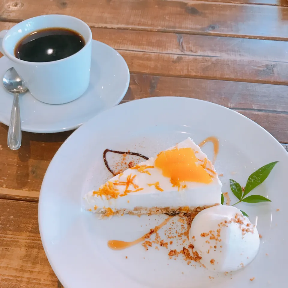 オレンジのチーズケーキ🍊|ちゃみこさん