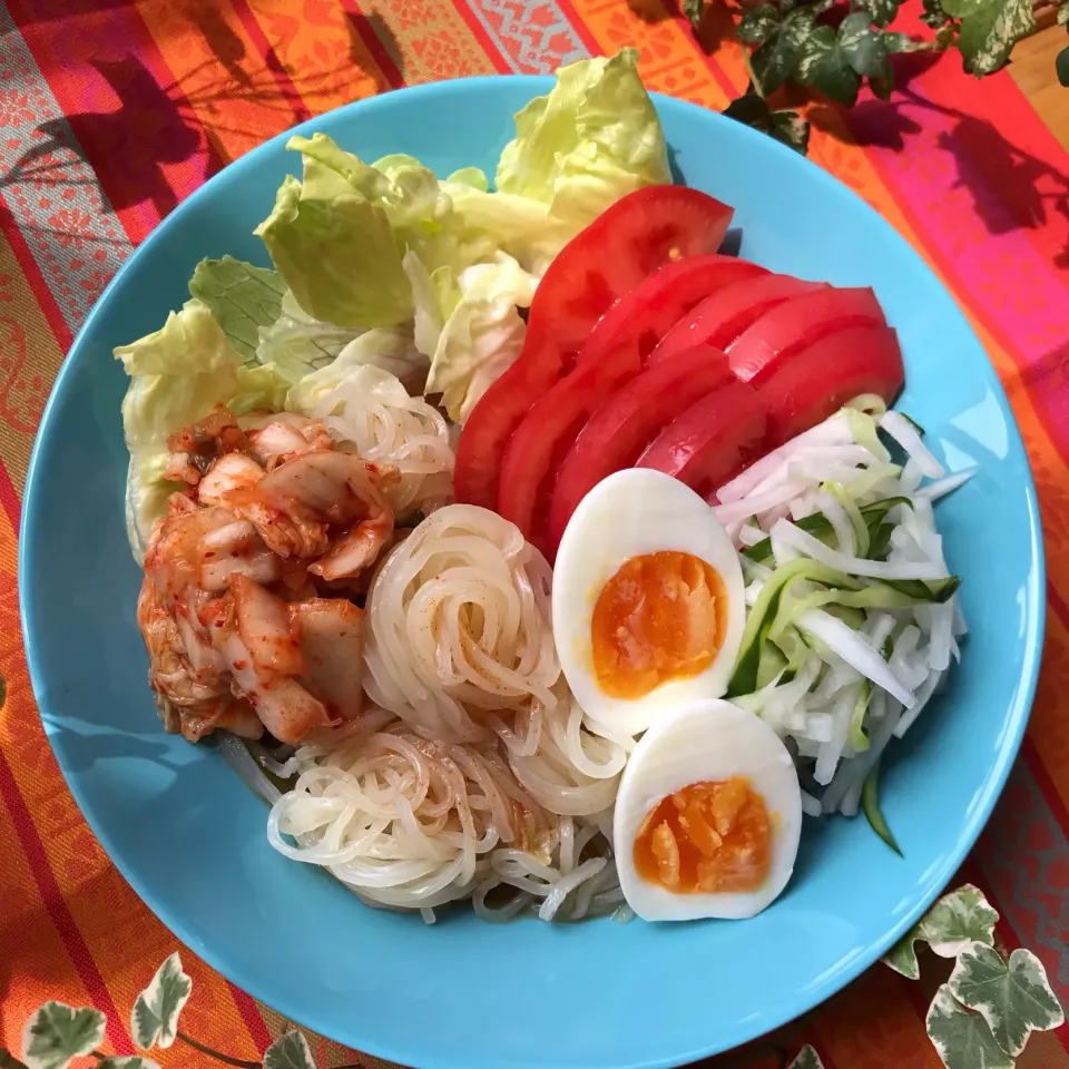 🥗トマト🍅いっぱい サラダ仕立ての 盛岡冷麺🍅🥗|Hollyさん