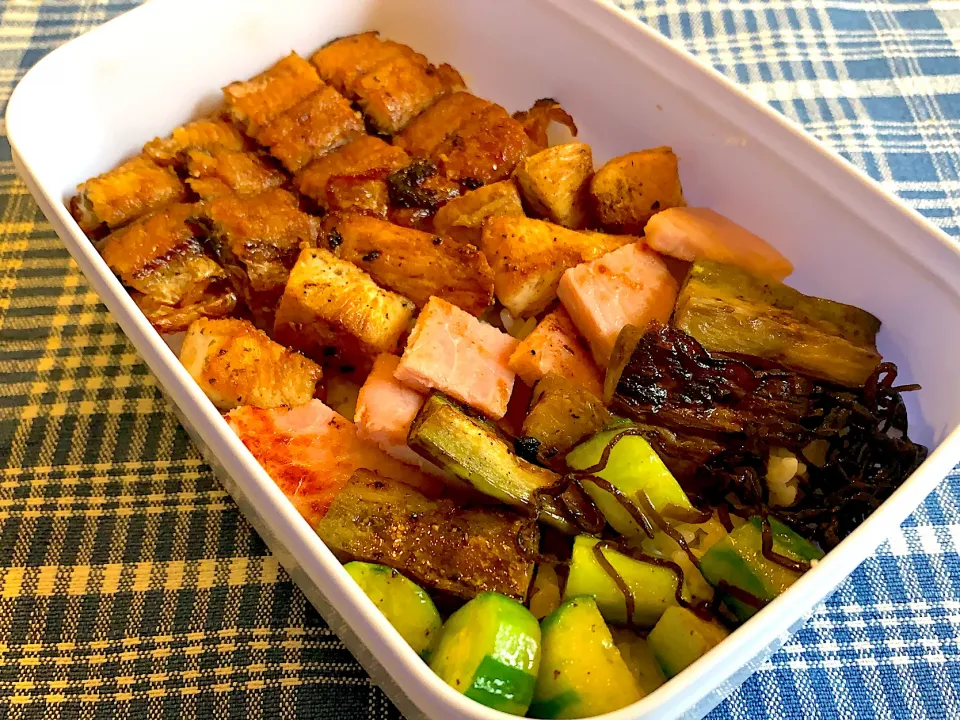 Snapdishの料理写真:うなぎと鶏肉弁当|🍭よっぴさん