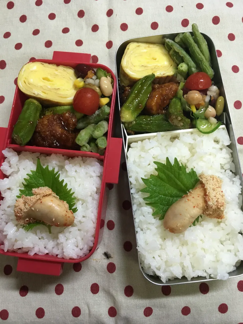 Snapdishの料理写真:旅行から帰宅 手抜き弁当🍱|sakuramochiさん