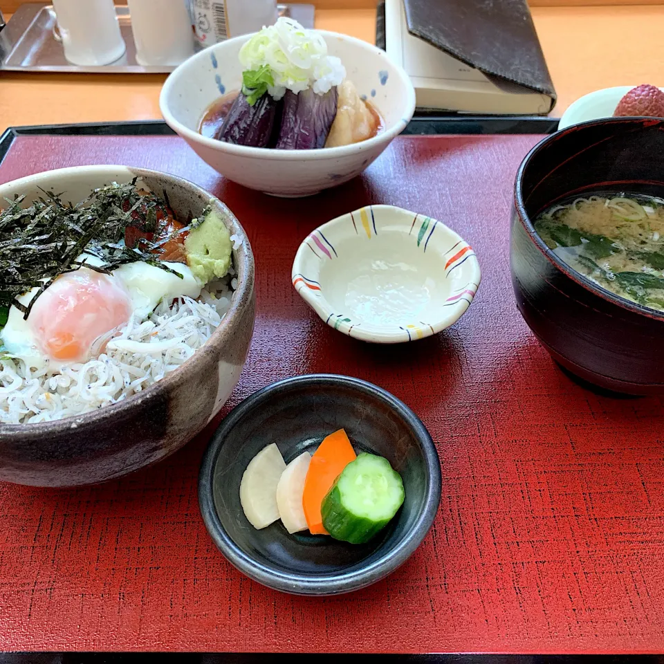 シラスまぐろ丼/茄子と豆腐揚げ出し/味噌汁|山内博之さん