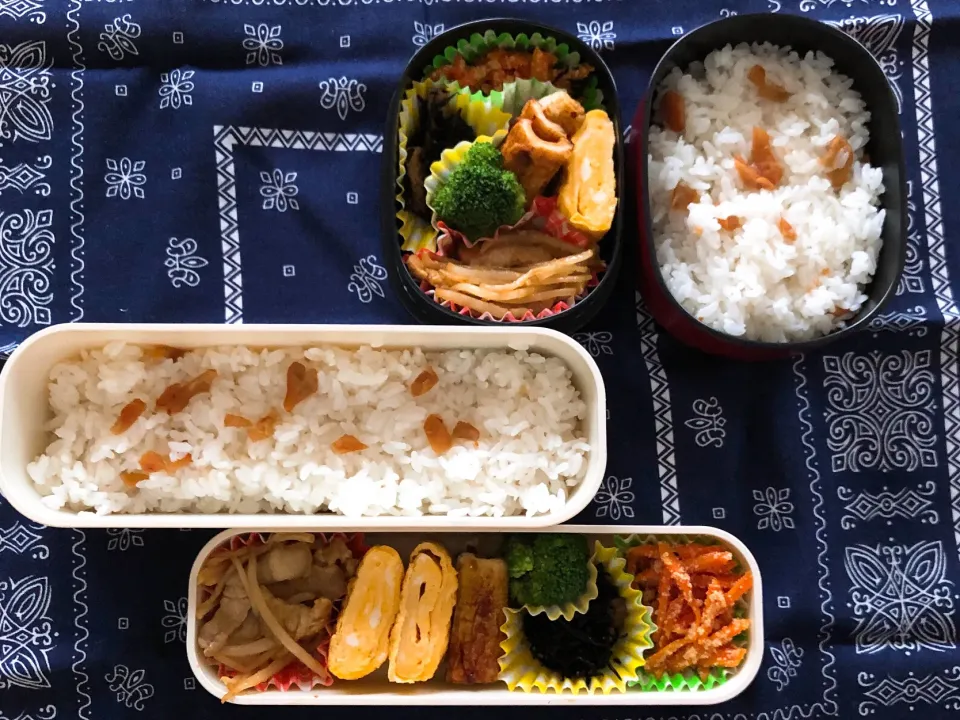 Snapdishの料理写真:2019/07/30(火) 夫弁当&娘弁当🎵|kiyominさん