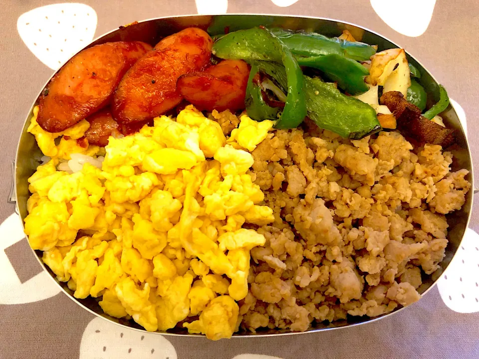 Snapdishの料理写真:鶏そぼろ弁当|freeさん