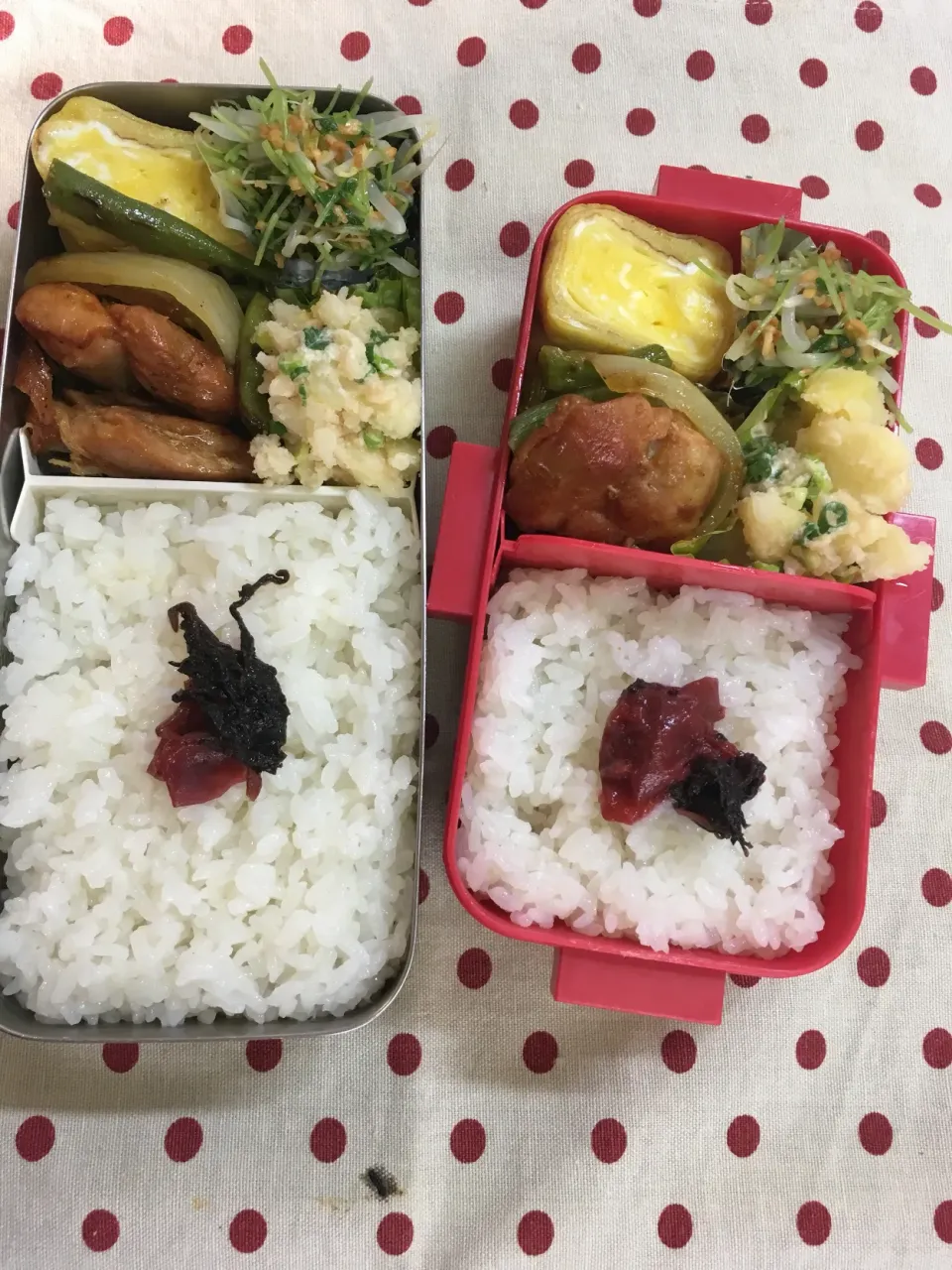 Snapdishの料理写真:7月30日 酷暑弁当🍱|sakuramochiさん