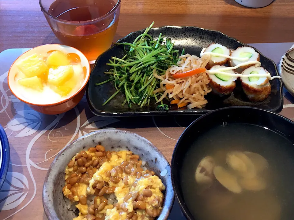 Snapdishの料理写真:朝ごはん
竹輪きゅうり、豆苗胡麻油炒め、切り干し大根、白米、納豆オムレツ、あさりの味噌汁、パイナップル添えヨーグルト、ルイボスティー|かよちゃんさん