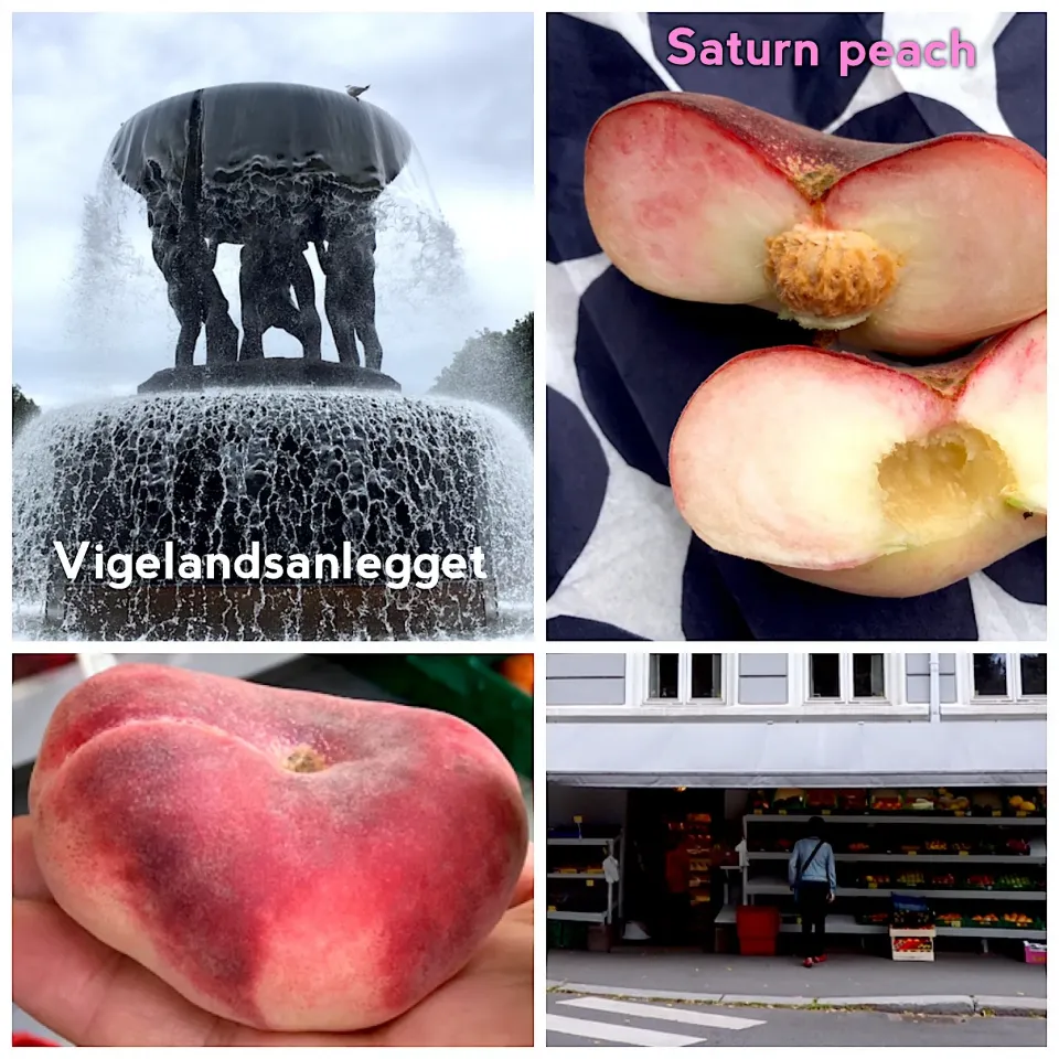 白夜の北欧紀行🇳🇴③ ヴィーゲラン彫刻公園でサターンピーチ編🍑|izoomさん