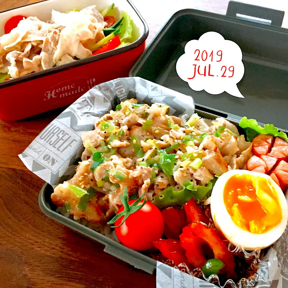 2019/7/29 塩ダレ豚丼と豚しゃぶサラダ弁当|rinrinさん