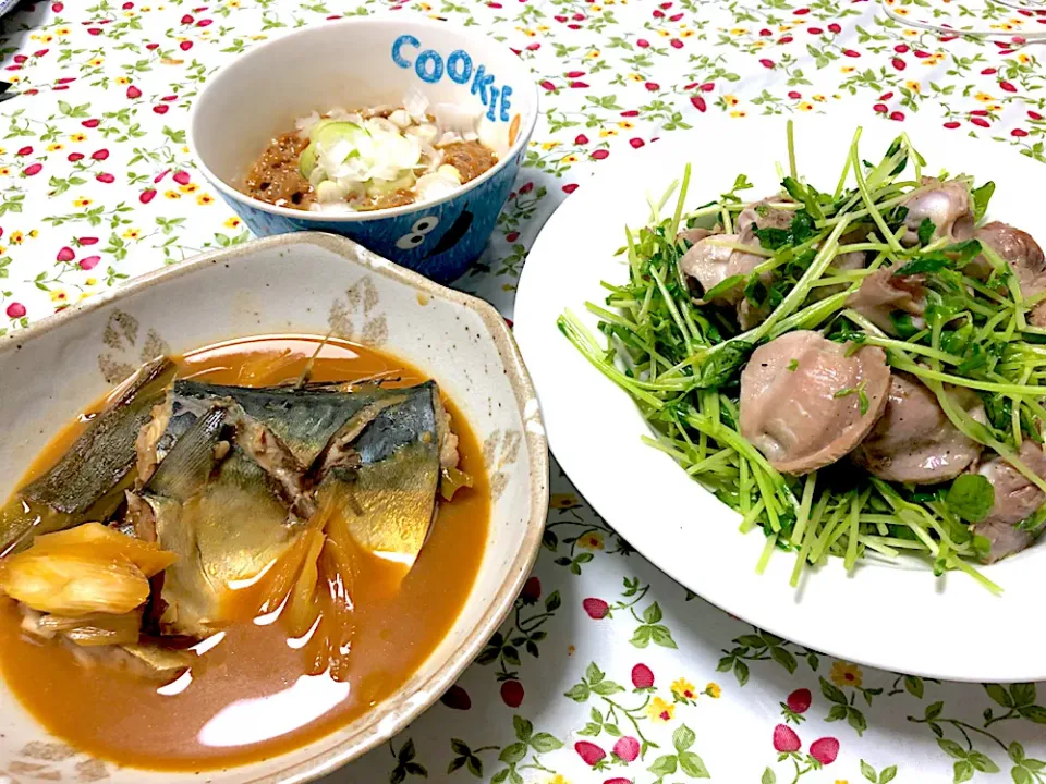 さば味噌煮、砂肝と豆苗炒め、納豆|ゆーみさん