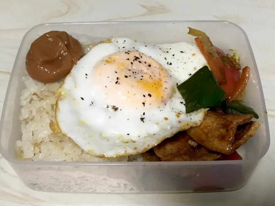 明日のお弁当|あい(´･ω･`)はらさん