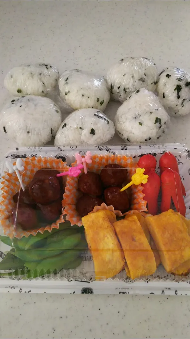 Snapdishの料理写真:お出かけお弁当19/07/20|meguminさん