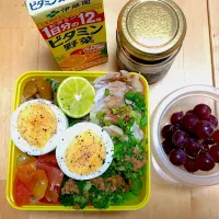 麺弁当🍜 茹で鶏、トマトマリネ、なめこ、ブロッコリー、すだち on 半田麺|Chieimeshiさん