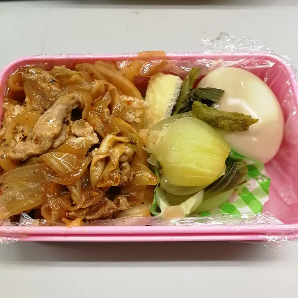 Snapdishの料理写真:今日のお弁当|ねずさん