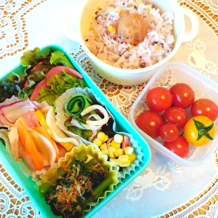 旦那の御飯少なめ野菜多め弁当|🌻ako ·͜·♡peco🌻さん