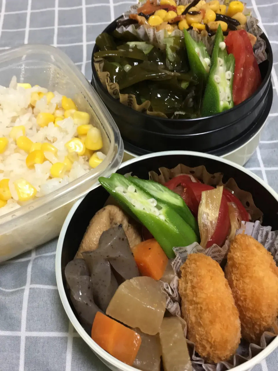 Snapdishの料理写真:残りおかず詰め合わせ弁当|4jemさん