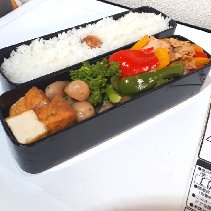 パパのお弁当|A&Cさん