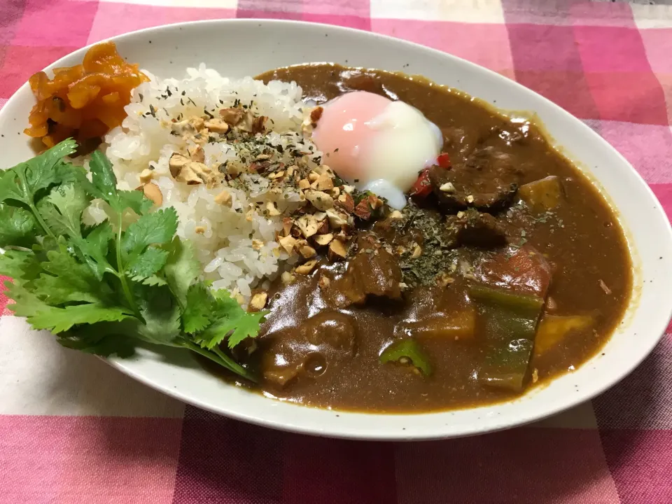 スパイシー夏カリー|ハルのただ飯さん