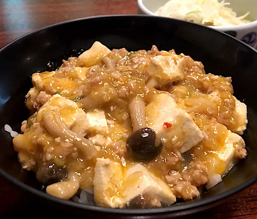 昼ごはん☀️☀️☀️断酒113日目                        麻婆豆腐丼と素麺|ぽんたさん